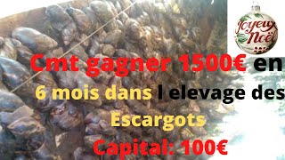 elevage des escargots un business rentable [upl. by Ras]