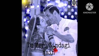 Tu Meri Zindagi Hain New Bollywood Hindi Songs 2024 Trending Videos [upl. by Aninotna]