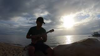 Wise Men Say Only Fools Rush In Relaxing Ukulele [upl. by Dumm]