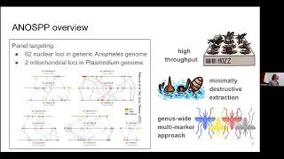 Genomic monitoring of Anopheles mosquito populations [upl. by Trojan]