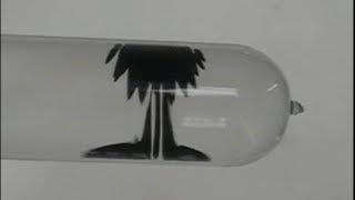 Amazing Ferrofluid [upl. by Elad]