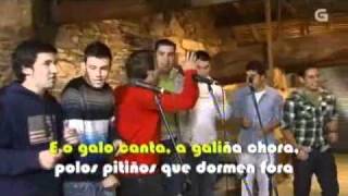 O galo canta  A Requinta da Laxeira [upl. by Noxas]