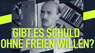 FREIER WILLE erklärt Sam Harris [upl. by Adnim978]