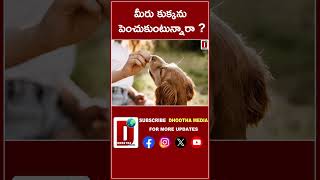 మీరు కుక్కను పెంచుకుంటున్నారా  DHOOTHA MEDIA  doglover newzland latestnews viral shorts [upl. by Hump]