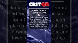 Arterial Catheter Placement Sites [upl. by Elrahc]