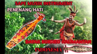 INSTRUMEN MUSIK SAPE DAYAK KALIMANTAN MERDU ENAK DI DENGAR  Relaxing penghantar tidur [upl. by Rimhsak]