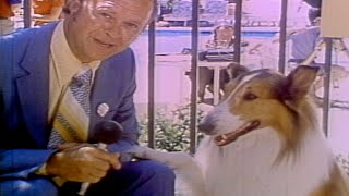 NATIONAL DOG DAY Beloved TV dog Lassie gave hilarious interview in retro find [upl. by Wooldridge958]