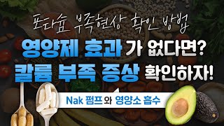 영양제를 아무리 먹어도 효과가 없다면 칼륨 저하 증상 부터 확인하자 [upl. by Joly]