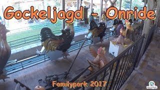 Gockeljagd  Onride  Familypark 2017 [upl. by Whang827]