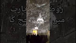 arbab Raza mola molaraza imamraza manqabat ziyarat viral youtubeshorts ytshorts [upl. by Musetta866]