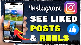 How to See Liked Posts amp Reels on Instagram 2024 [upl. by Riesman]