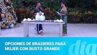 Opciones de brasieres para mujer con busto grande [upl. by Okiek647]