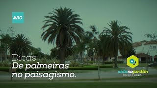 Dicas de Palmeiras no paisagismo 20 [upl. by Ernestine]