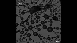 Polyacrylonitrile PAN Nanofiber Mesh Capturing Water Aerosols [upl. by Nylireg]