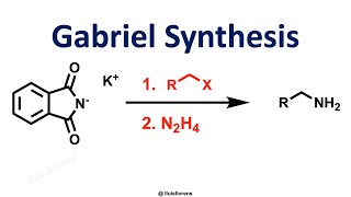 Gabriel Synthesis [upl. by Lourie]