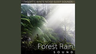 Forest Rain Sound [upl. by Anerda393]