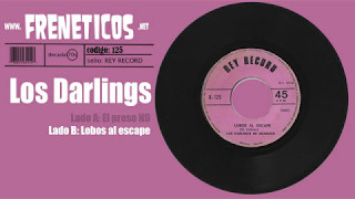 Los Darlings de Huanuco  lobos al escape [upl. by Loftus]