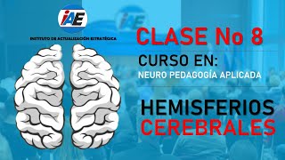 LOS HEMISFERIOS CEREBRALES [upl. by Enerak991]