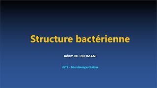 Microbio  Structure bactérienne [upl. by Malloy]