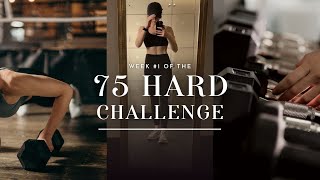 75 HARD  my first week of the internets toughest fitness challenge healthy routines diet amp more [upl. by Acinet]