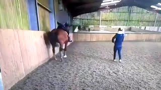 charlotte dujardin horse video charlotte dujardin whipping horse dujardin coaching [upl. by Sirad]