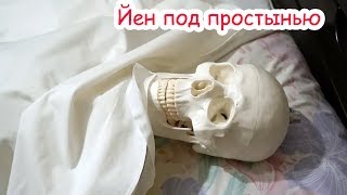 VLOG Доделали квест Сири не понимает нас [upl. by Aruat217]