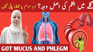 The 3 Causes Of Constant Mucus Phlegum In Your Throught Listen Your Body [upl. by Llertnek]