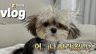 vlog 일상 브이로그허브족발하노이맥주밤거리롱타임노씨동두천 아쯔아쯔 료칸김현아두꺼비식당파타고니아뉴발ml610언박싱유성순대국보리밥사이길로김명자굴국밥 [upl. by Yarased]