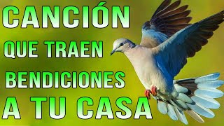 LA CANCIÓN CRISTIANA MÁS HERMOSA DEL MUNDO 2023  CANCIONES QUE TRAEN BENDICIONES A TU CASA [upl. by Emmye189]