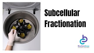 Subcellular Fractionation  Cell Fractionation  Biochemistry [upl. by Mehitable116]