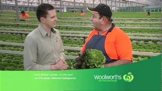 Woolworths Fresh Market Update  Lettuce NSW [upl. by Ardene]