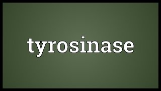 Tyrosinase Meaning [upl. by Brand558]