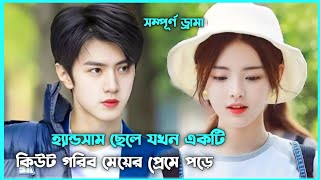 রোমান্টিক লাভ স্টোরি 💖 Forever Love Movie Explain in Bangla  Korean Drama Bangla 🟤 Movie Story SJ [upl. by Ateerys]