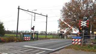 Spoorwegovergang Koekange  Dutch Railroad Crossing [upl. by Proulx35]