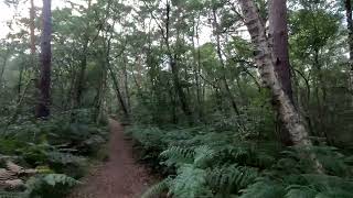 Hiking almost uncut and authentic Venner Moor [upl. by Yekciv69]