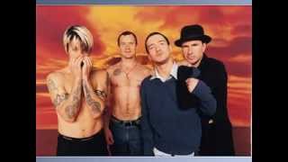 Red Hot Chili Peppers Californication Lyrics [upl. by Attelra]