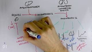 Renin Angiotensin Aldosterone System MADE EASY 60 SECONDS [upl. by Anneirb]