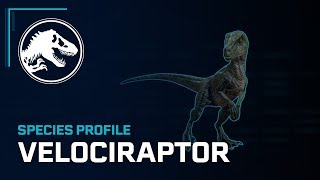 Hunting Found Jurassic world evol2‼️Trex brachiosaurus giganotosaurus spinosaurus carnotaurus [upl. by Elle]