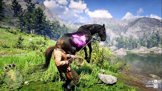 ARTHUR CATCH A BEAUTIFUL CHAROITE HORSE  RDR2  GAMEPLAY [upl. by Johnston]