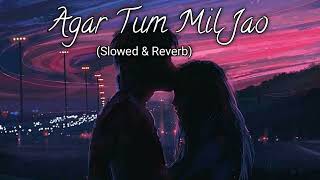 🥰Agar Tum Mil Jao Jamana Chod Denge💞Slowed And Reverb😓Shreya Ghoshal  Hindi Lofi Music Viral Hub [upl. by Dorsman]