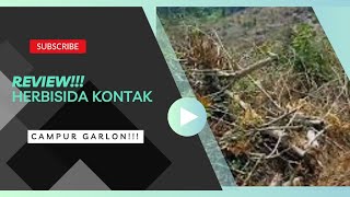 🔴review hasil penyemprotan herbisida kontak dengan garlon‼️  Anak Kebun [upl. by Matthias]