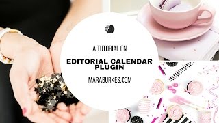 Editorial Calendar Plugin How to Use an Editorial Calendar [upl. by Loeb]