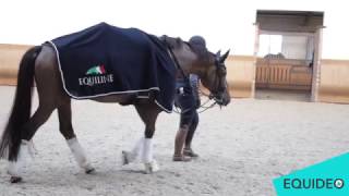 JULIE DOSSIN Cavalière de Dressage [upl. by Vasya]