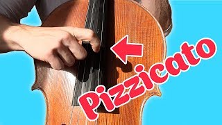 How to PLAY PIZZICATO on CELLO  a Beginners Cello Lesson  Basics of Cello [upl. by Menedez665]