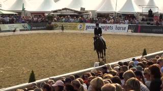 Quantensprung  Quando Quando X Donnerhall Hannoveraner Stallions Bundeschampionate 2014 Final Qua [upl. by Boles]