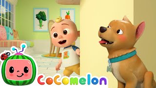 Where is BINGO  CoComelon Animal Time  Animal Nursery Rhymes [upl. by Ardnoek]