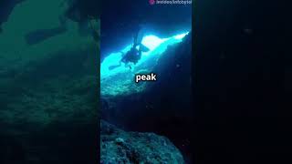 Exploring the Mariana Trench Earths Deepest Mystery 🌊✨ [upl. by Mungo]