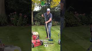 How to Effectively Remove Thatch from Your Lawn [upl. by Bridie]