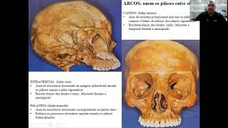 VÍDEO AULA DE BIOMECÂNICA DO CRÂNIO E FRATURAS FACIAIS E MANDIBULAR [upl. by Boggs]