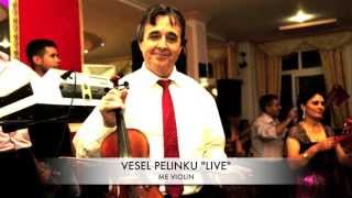 Vesel Pelinku Live 1 [upl. by Bernarr]